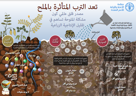 الصورة