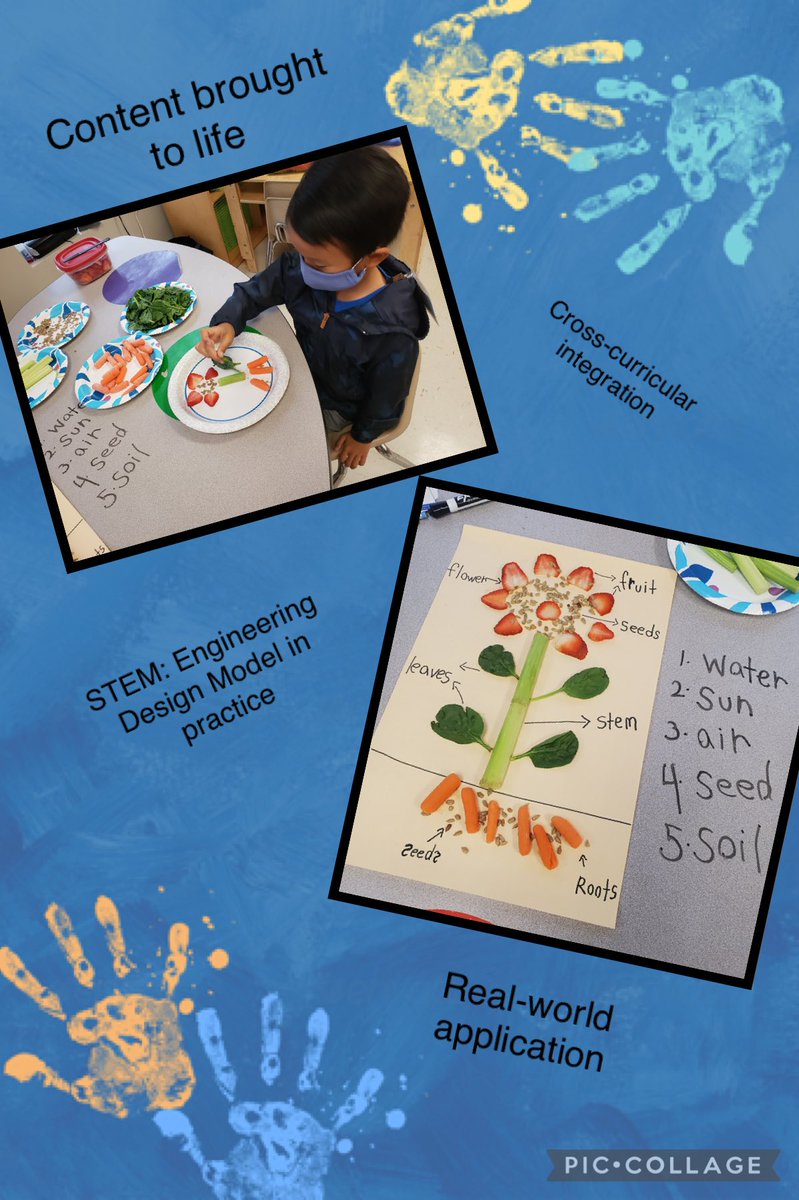 SMSDECC's tweet photo. Students in our Kinder classes are reading and learning about parts of a plant. Itโs content brought to life through real-world application. #Exsposure #AmplifyTheLearning @StaffordMSDโฉ โฆ@Amplifyโฉ โฆ@TwylaHynesโฉ https://t.co/SplDQLAYUv