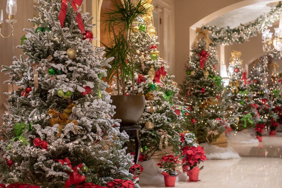 StephenFAustinS's tweet photo. Celebrate the holiday season royally this year with a visit to one of our Royal Sonesta hotels. Learn how earning Sonesta Travel Pass points with Sonesta World Mastercard® from Bank of America can help! https://t.co/fkwY2XINcs #ad https://t.co/I20ShMDPXH