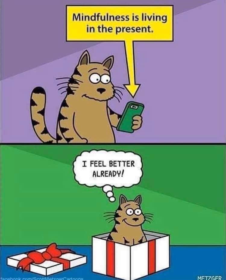 agmeditation's tweet photo. Happy Friday, friends! 😊 Cartoon credit: Scott Metzger #mindfulhumor #AGMpractice https://t.co/tI0hVhRJB2
