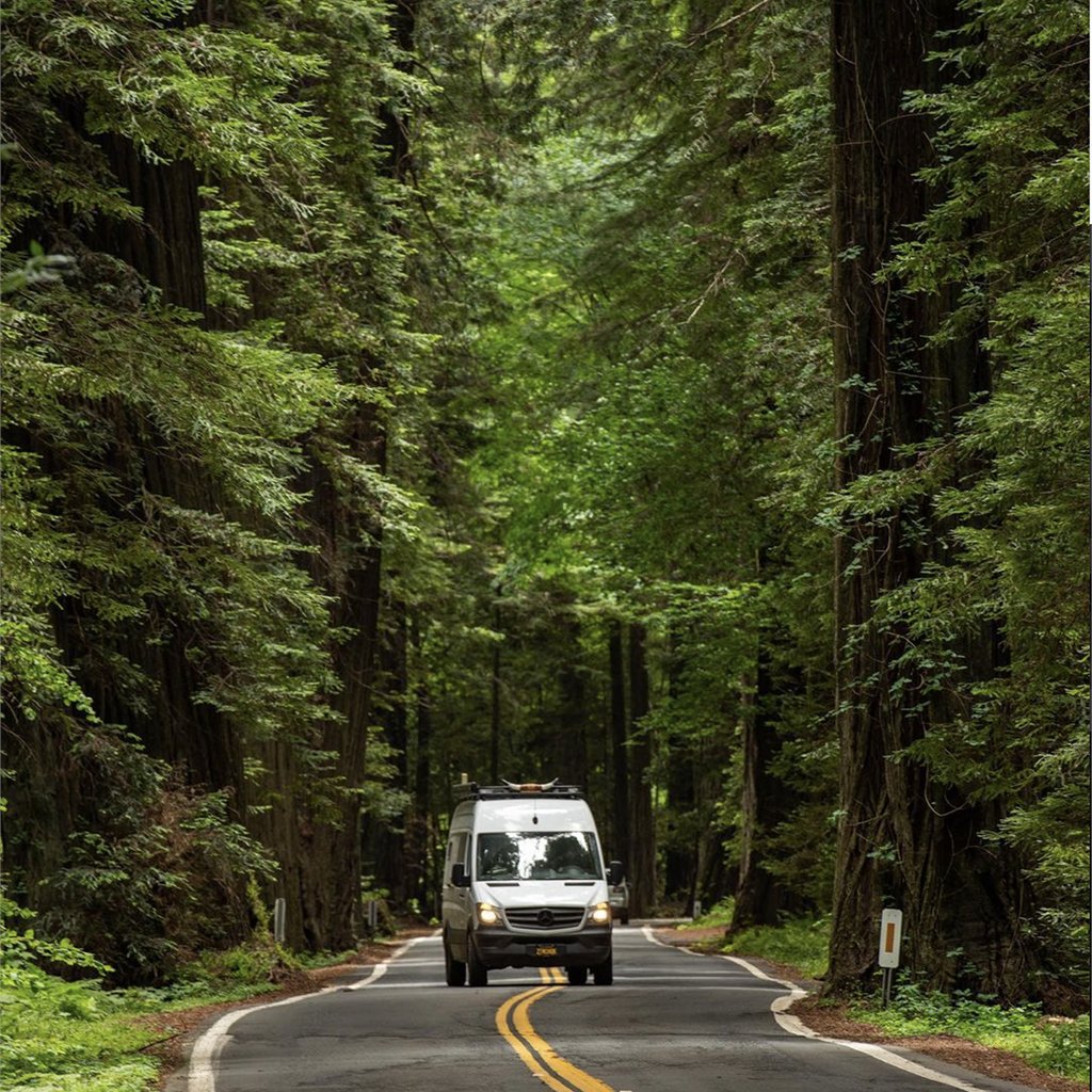 ROAVCustom's tweet photo. Van life bucket list ✅
 #redwoods #vanlife #vanconversion #sprintervanconversions #vanlifecamper #vanlifestyle #vanlifers #mercedessprinter #sprintervan #tinyhouse #sprinter4x4 @thedesertcruiser https://t.co/5dG7NpUerN