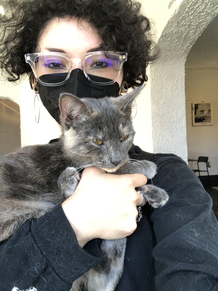 g0thh0bbit's tweet image. i played with kittens for 3 hours today