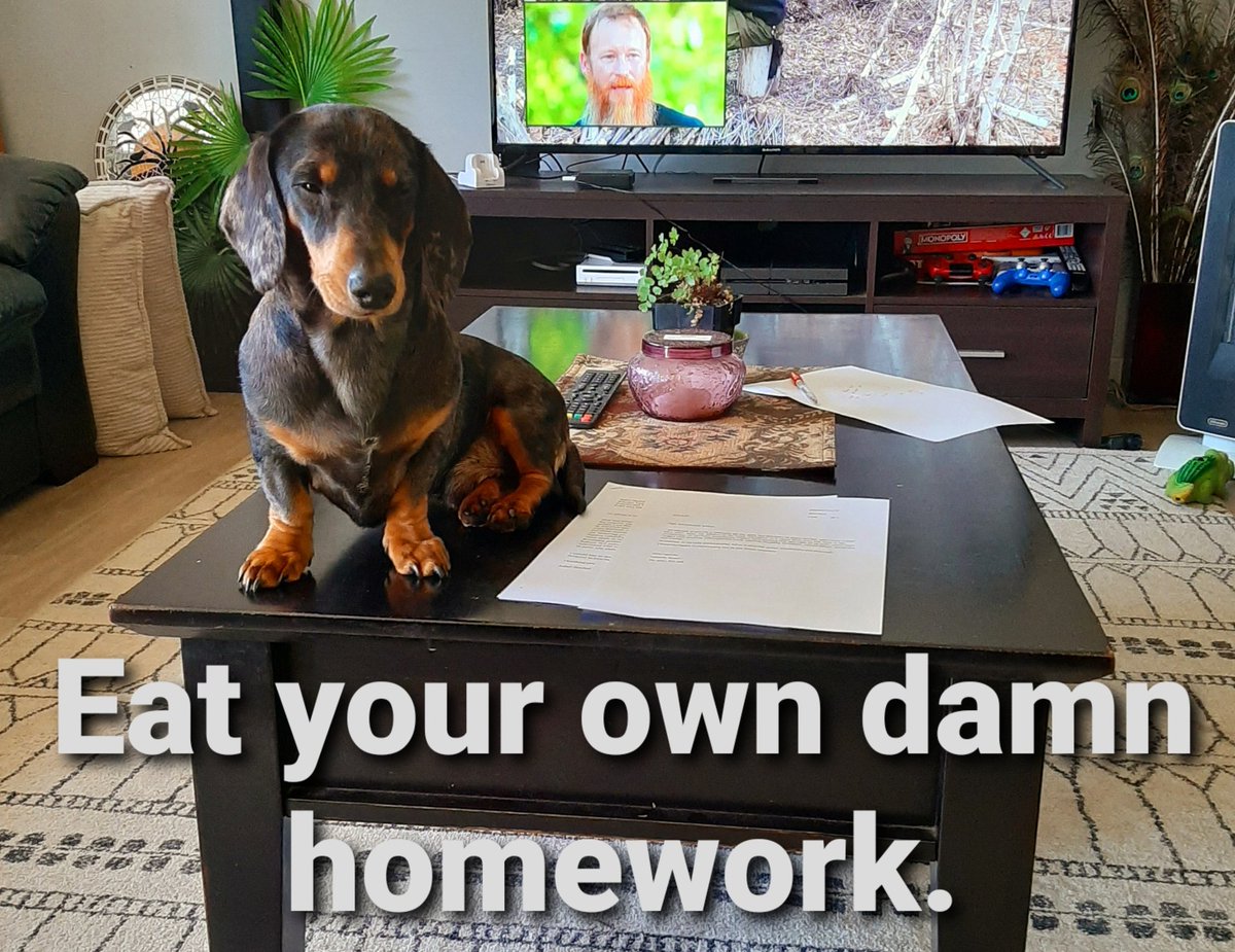bratwurstdoxie1's tweet photo. #homeworkslave #homework #Homeoffice #NoMore #no #wonthelp #Nope #noway #schoolsucks #dachshund #dappledachshund @dogfather @dog_rates #MEMES #memecoin #memesdaily #meme https://t.co/ibQVvMcKMe