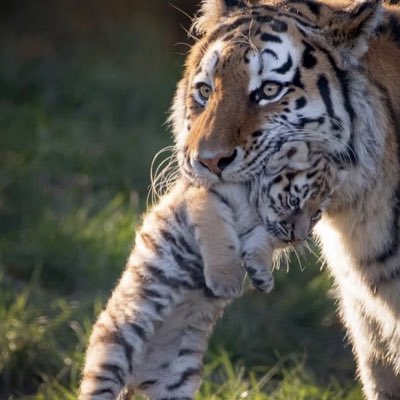 BELLEZASNATURA7's tweet photo. #NuevaFotoDePerfil https://t.co/9pXlFhmLGz