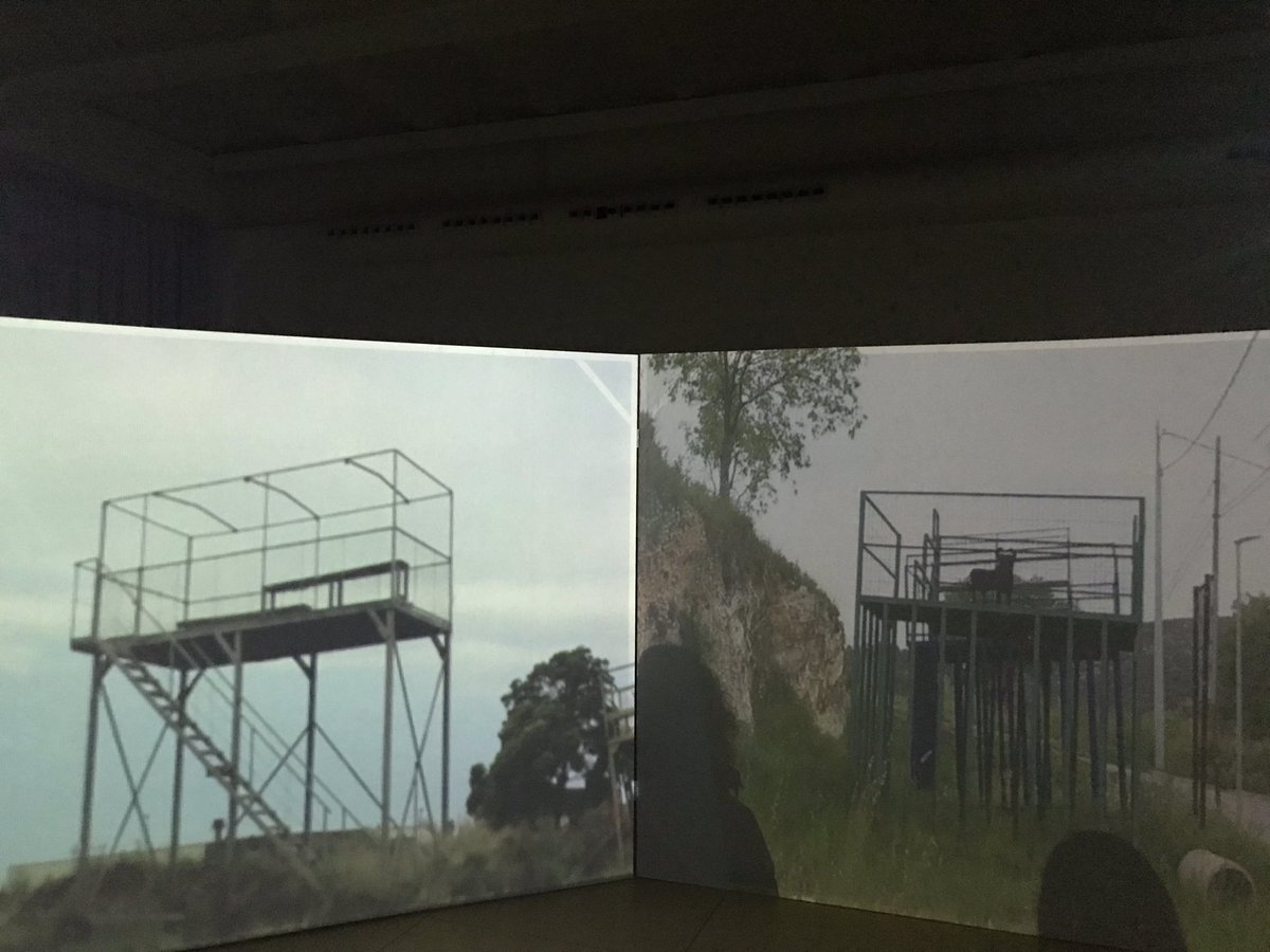 MediaEstruch tweet media