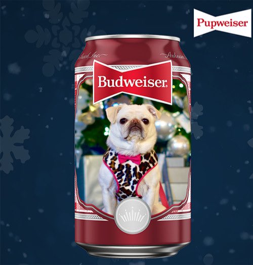 GidgetsFanPage's tweet photo. Would You Buy Me?!?
I’m Cool, Crisp & Tasty!😂🍺
@Budweiser @AnheuserBusch
.
.
#pupweisercontest #budweiser #crackopenthecheer #thisbudsforyou #ad #pugweiser #holidaycheer #drinkresponsibly #pug #puglife #pugworld #pugspugspugs #surfgidgetthepug #surfdog #winner #contest https://t.co/9t2FuzR8fe