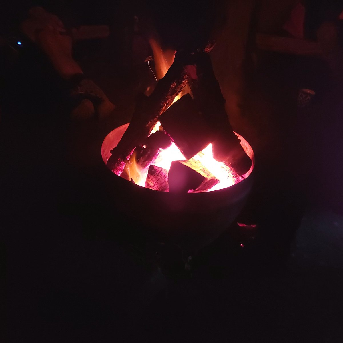 RammyExplorers tweet media