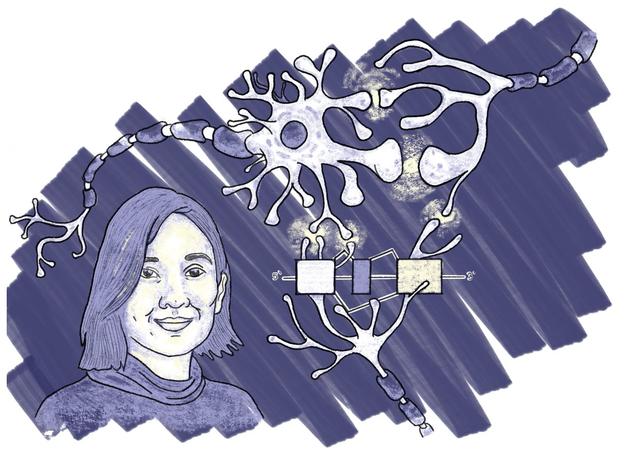 BerkeleySciRev's tweet photo. Meet Dr. Andrea Gomez @IndigeNerd, a @UCBerkeleyNeuro neurobiologist working to understand how molecular cues shape #brain development, and how #psychedelics may reshape neural networks. #Issue41

Author: Celia @cogcelia 
Designs: Santi @gradscHoolboyQ 
https://t.co/dHrOaRRDdn https://t.co/t2nR1eH4M1
