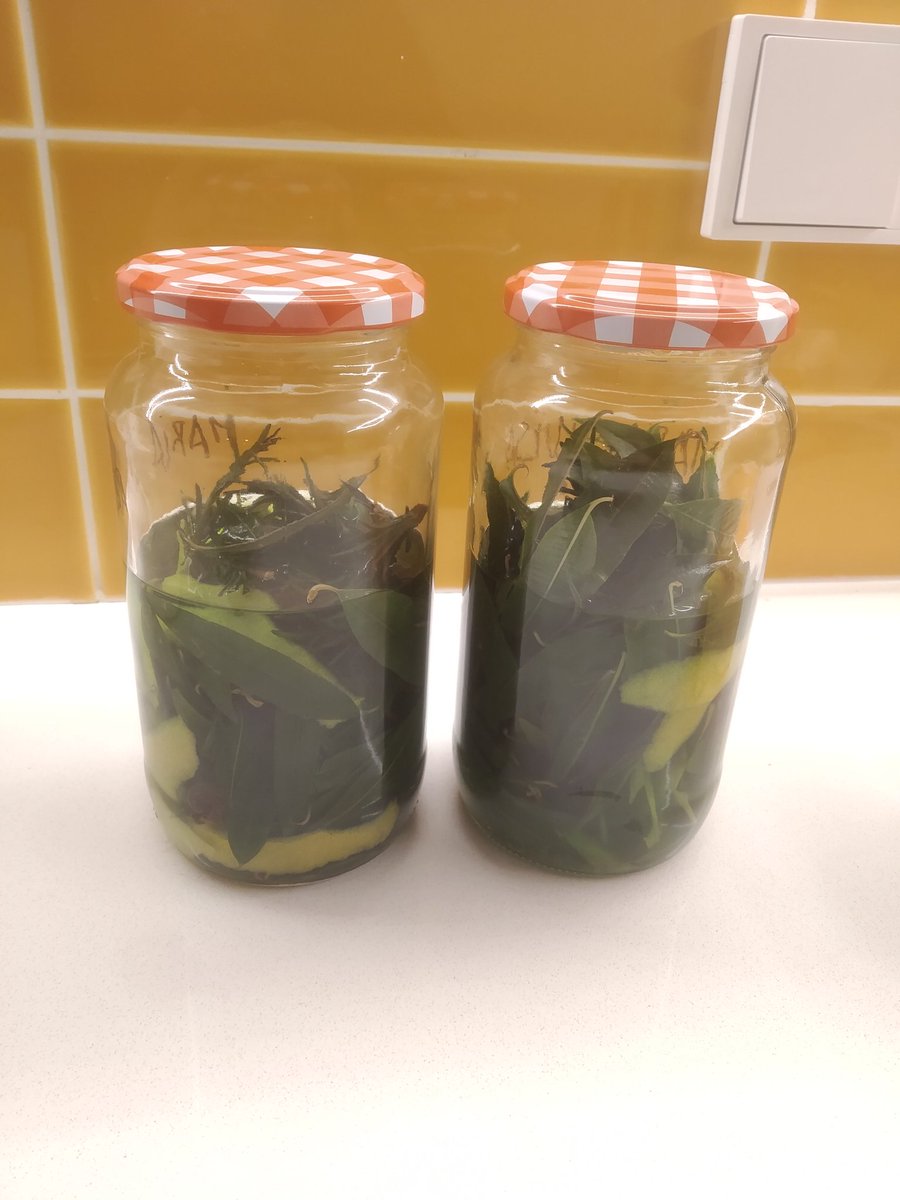 xulius's tweet photo. Que? Ja preparant els vostres licors?
De cara al Març-Abril, 1r concurs de #Licors i #Digestius Joan Inglada!
#HomeMade #ratafia #limoncello
#SpRibes https://t.co/zAT2jNqoxA