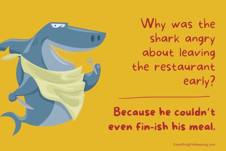 Stop on in for Kyote’s fish fry and old fashioned’s!!!! #Bar #MilwaukeBar #Wisconsin