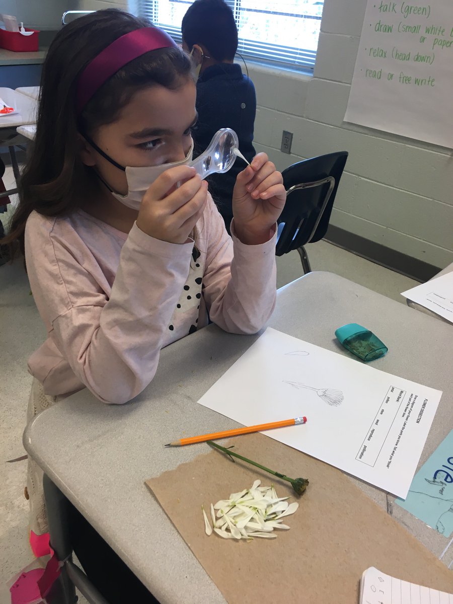 Dissecting flowers as we continue learning about ecosystems and our impact on the environment. 
<a href="/WoodburnES_4th/">Woodburn 4th Grade</a>