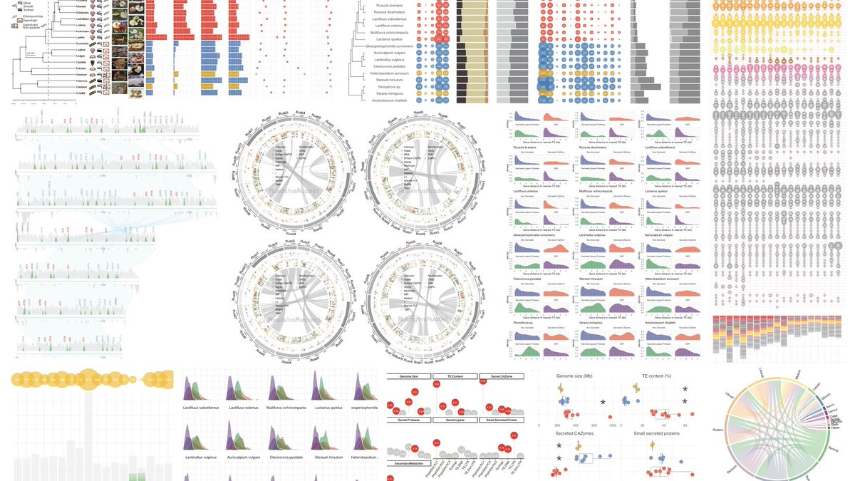 shingomiyauchi's tweet photo. 🟢 Visual omics series 🟢 Evolutionary transition to the ectomycorrhizal habit in Russulales fungi published in New Phytologist!  
https://t.co/7a3swLmrT6
@fmartin1954 @Looneyomyces @shingomiyauchi @BHenrissat @laszlognagy @UMR_IAM @MycoCosm @NewPhyt https://t.co/nSDT85Ujtf