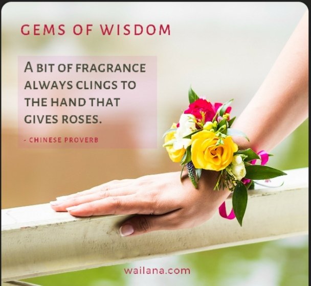 A bit of fragrance always clings to the hand that give roses. 💓🌹
#ALDUBatADNShare 🍃💛🍃
ctto-pic