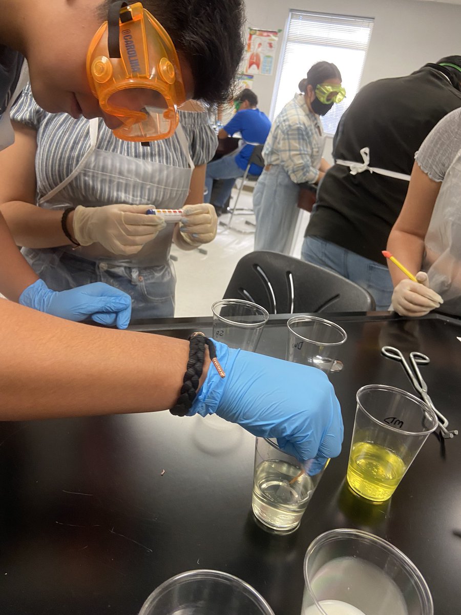talamantes_chs's tweet photo. Very productive day all around campus today 🦁🦁🦁🦁 Student engagement all around. 🎯🎯🎯🎯 #chemclass #jrotc #cosmo #stuco https://t.co/ClmTYHH2MN