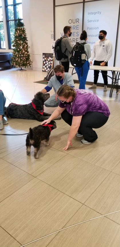 ACOMEDU's tweet photo. Therapy dogs Hoosier and Lucy visiting at ACOM to give students a little stress relief as they prepare for exams.
#ACOM #ACOMInspired #ACOMproud https://t.co/50p725Eta4