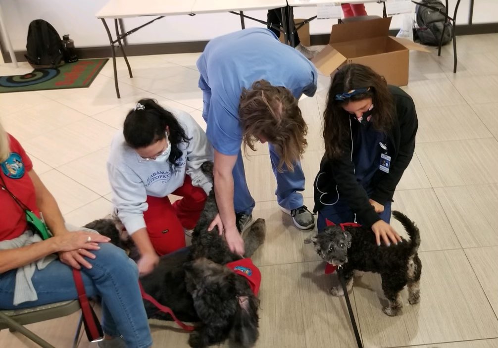 ACOMEDU's tweet photo. Therapy dogs Hoosier and Lucy visiting at ACOM to give students a little stress relief as they prepare for exams.
#ACOM #ACOMInspired #ACOMproud https://t.co/50p725Eta4