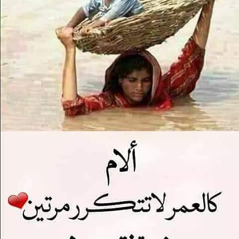 بنت اشيوخ (@tasr2uwplt9dxqe) on Twitter photo 
