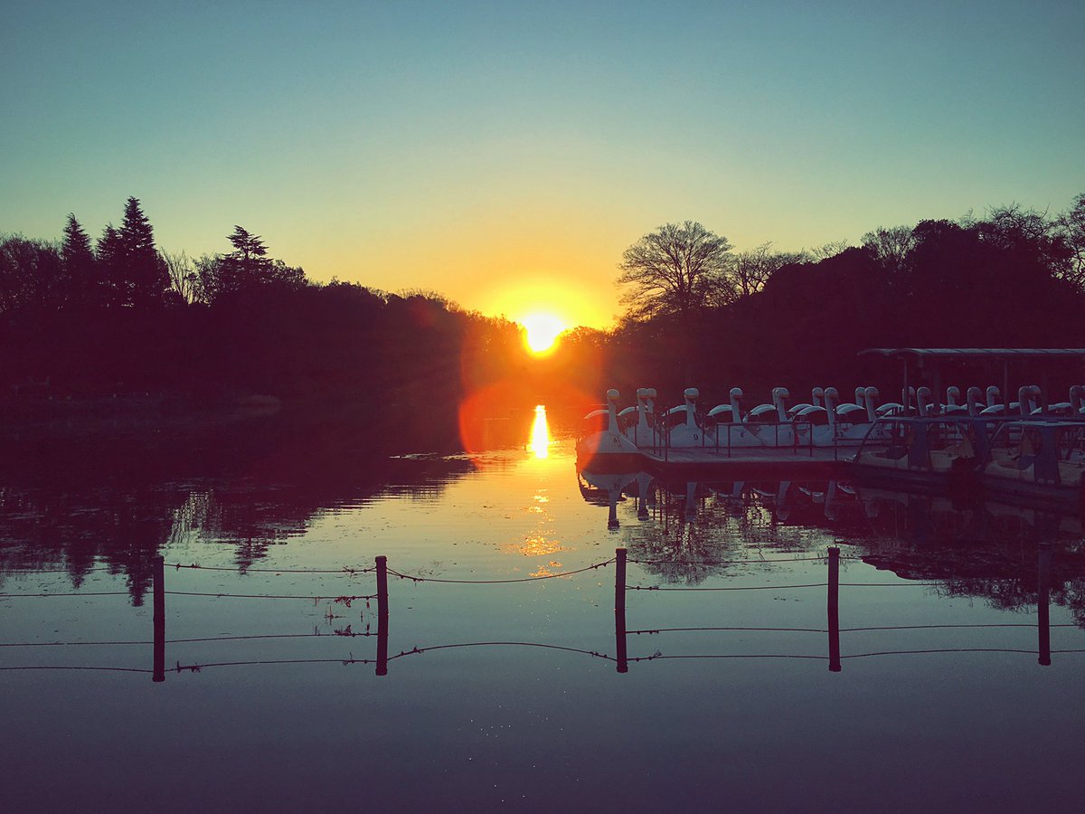 ______yssssss's tweet photo. #日の出 #井の頭公園 https://t.co/5I3RU0r8gw