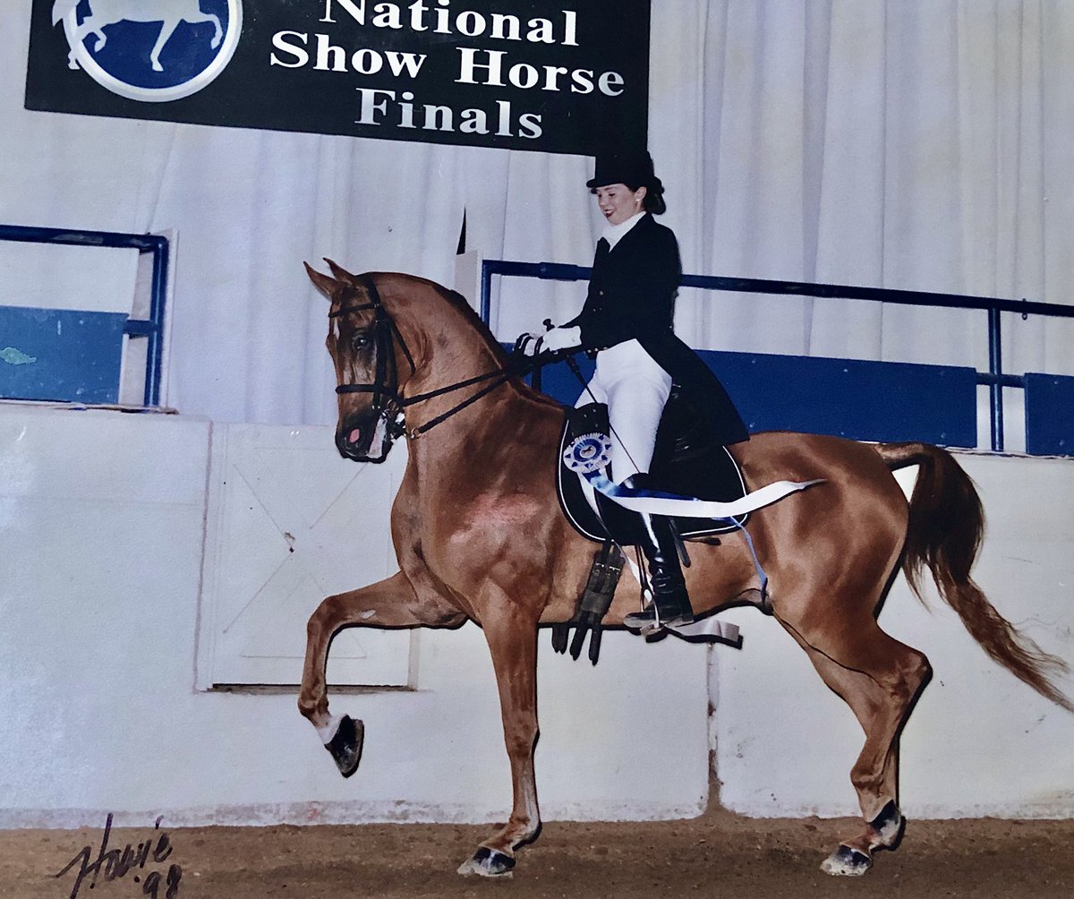 444InnerLight's tweet photo. @happyhorses76 @StevesLoveTarot I had an Arabian / saddlebred his name was Lucky Granet we called him the gentle giant. When he was laying down in his stall he would let me curl up next to him. Love horses💜 we should have a DF party at your place. I want to see Steve Ride 🤣 https://t.co/ijDBDb3bg1