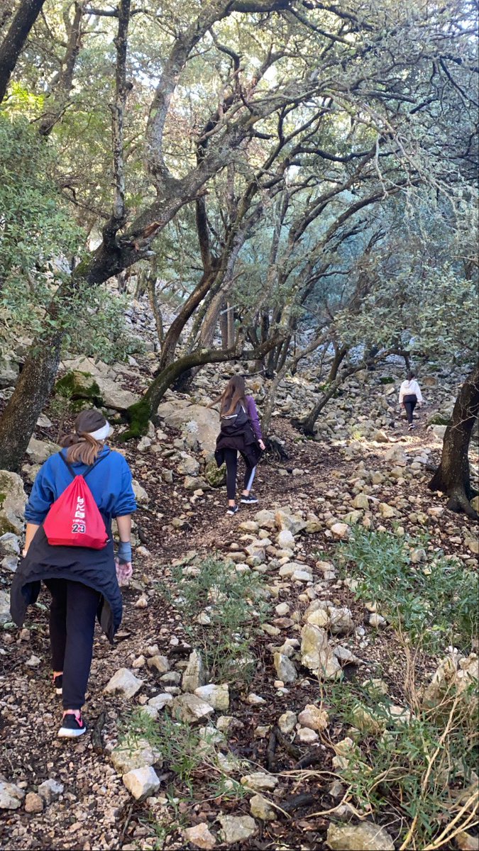 josefinablaya_'s tweet photo. Hoy @paulamarinuib @AgustinaM_uib @novaimatgecoma1 y yo hemos hecho el Camí de S’Arxiduc y hemos pasado una mañana súper divertida y de desconexión total por la montaña, aunque hemos acabado un poquito cansadas…💪🏼🥳

@EFsaludable_UIB #22121_UIB https://t.co/okXYPvbUTB