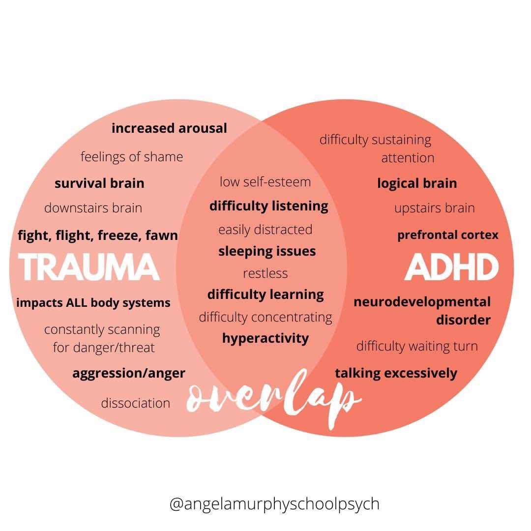 mshaleysalvador's tweet photo. Trauma is often misdiagnosed as ADHD (or other disorders). Consider how a child’s Adverse Childhood Experiences (ACEs) impact his/her brain and body. What does this look like in the context of a classroom? #traumafocusedschools #sd36learn https://t.co/mZEJnouggn