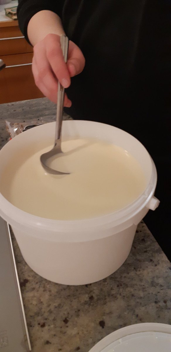 Er ekki til mjólk? Spurði sú yngsta á kúabúi bróður síns 🤣#menntaspjall