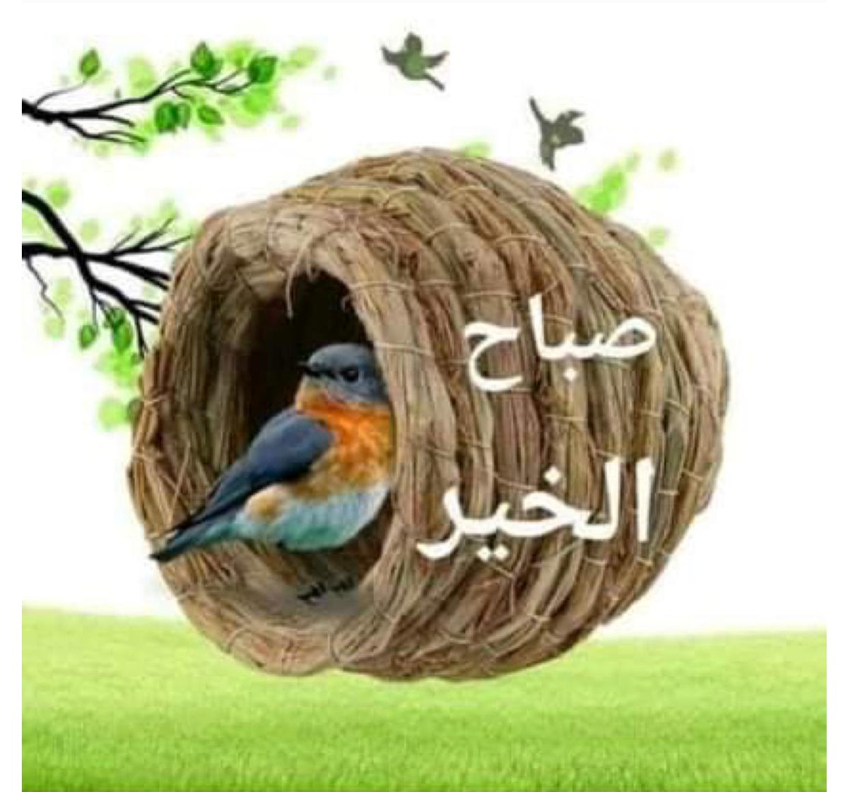 صباح الخير يا اجمل متابعين