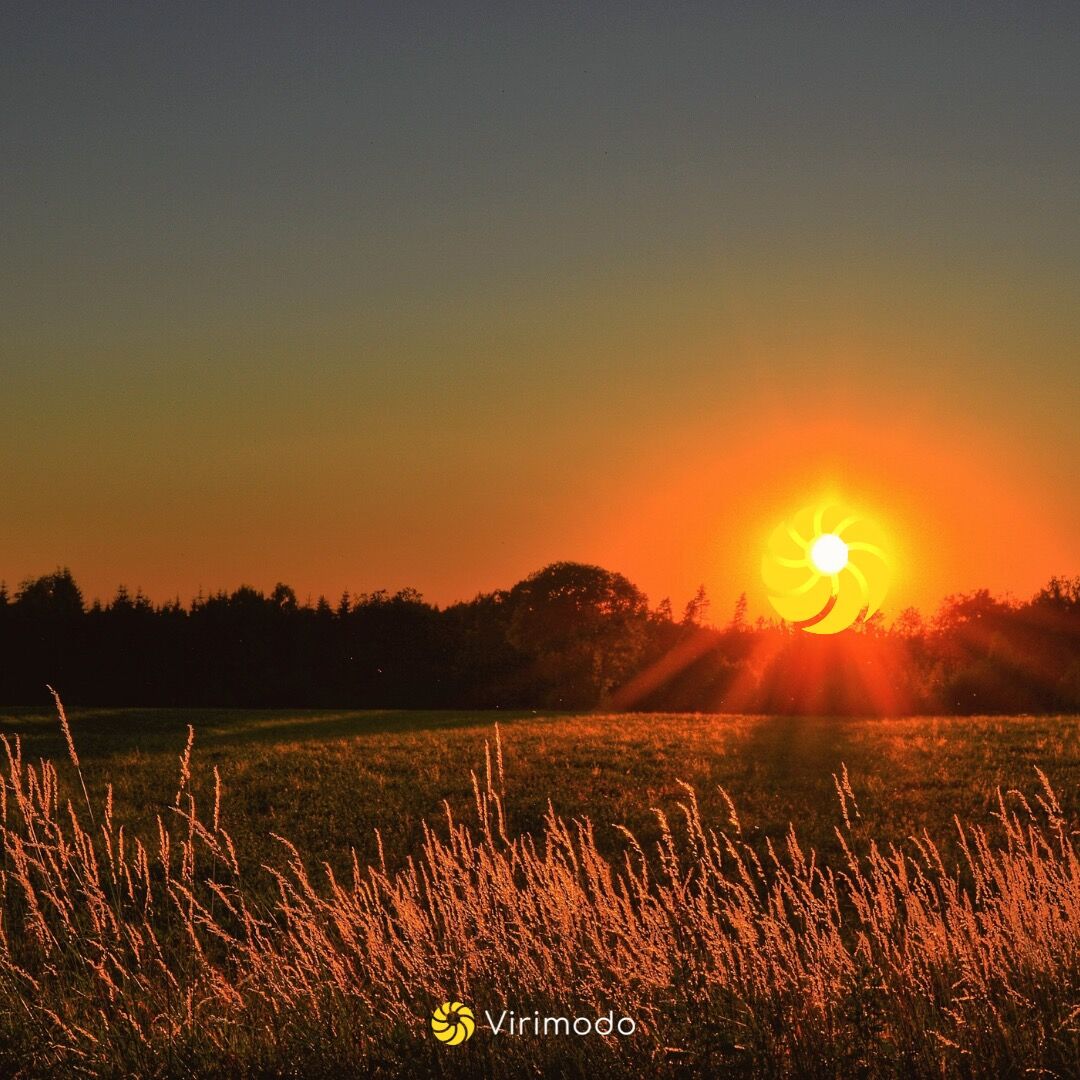 virimodo's tweet photo. The future is green. Let’s build a #liveablefuture for the children of the world. 
Visit https://t.co/07V7YrZON0 to find out how you can help! 

#cleanenergy #carbonfootprint #carbonemissions #protecttheplanet #protectourearth #protecttheearth #protectearth https://t.co/Y0WXDCnS9o
