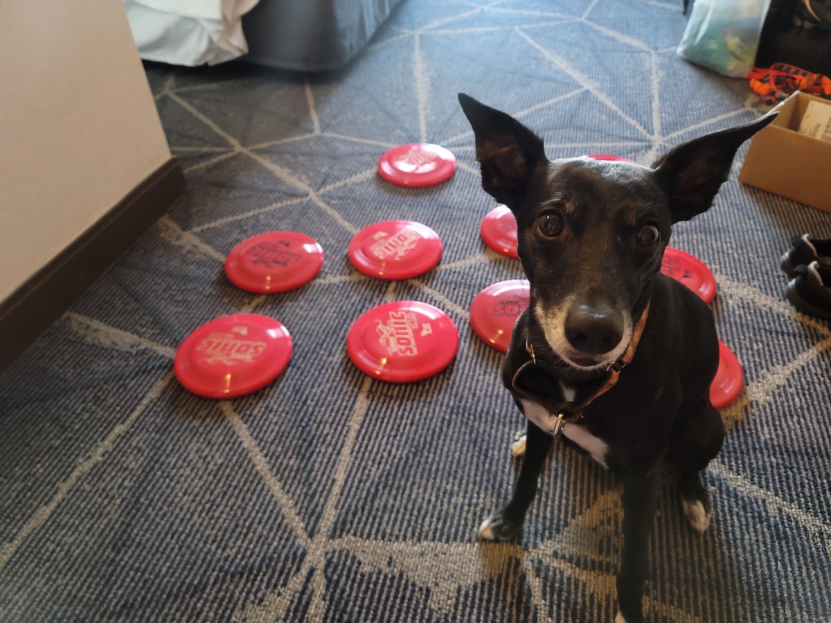 Thanks Hero Disc USA for the special shipment just in time for the <a href="/AtlantaFalcons/">Atlanta Falcons</a> halftime show!

We'll be throwing these brand new Supersonic 215 discs in Taffy plastic. 

So far, the response has been incredible and we cannot wait to bring it on Sunday!
