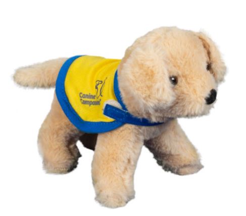 CanineDayton's tweet photo. This adorable plush toy is the perfect stocking stuffer! #12DaysOfChristmas 

Order online: https://t.co/doAl1R9GhB https://t.co/rz4fSvq8mt