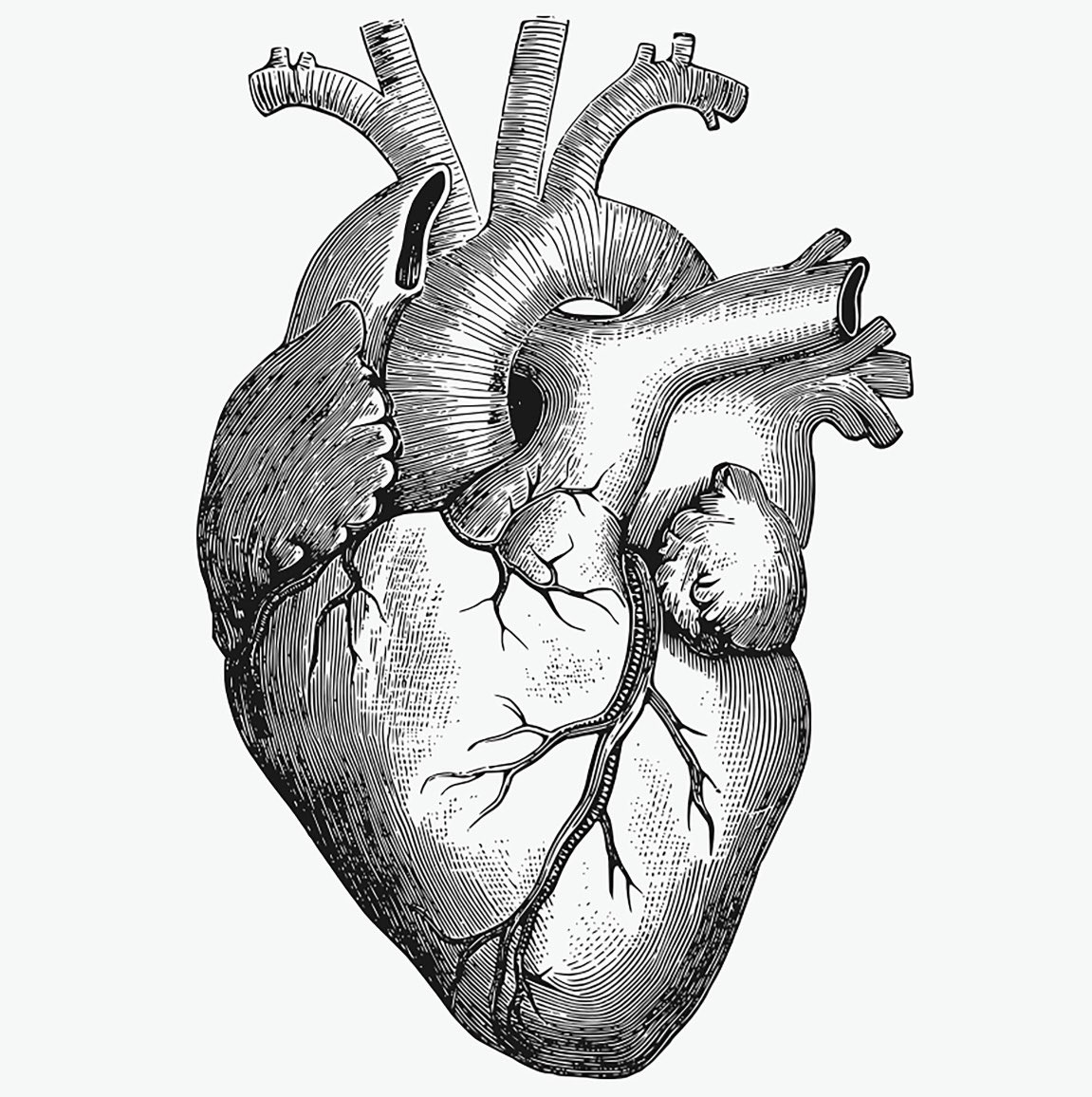 UofU CT Surgery tweet media