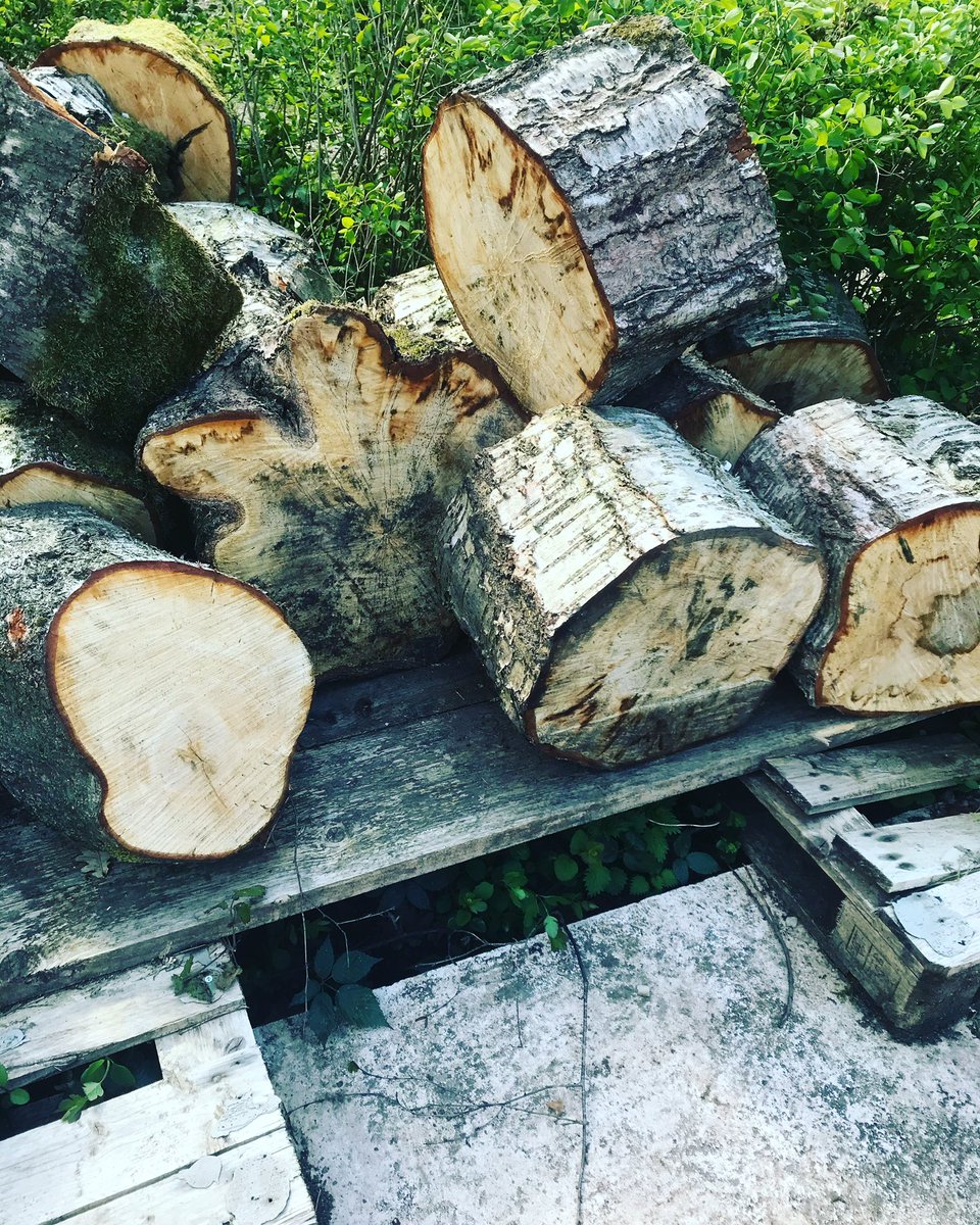 AnneHypnosis's tweet image. Putting the pieces together . Let someone help you do that with hypnosis. #hypnosis #gettinghelp #findingyourself #hypnotherapy #makingaplan #findingpeacewithin #strength #nature