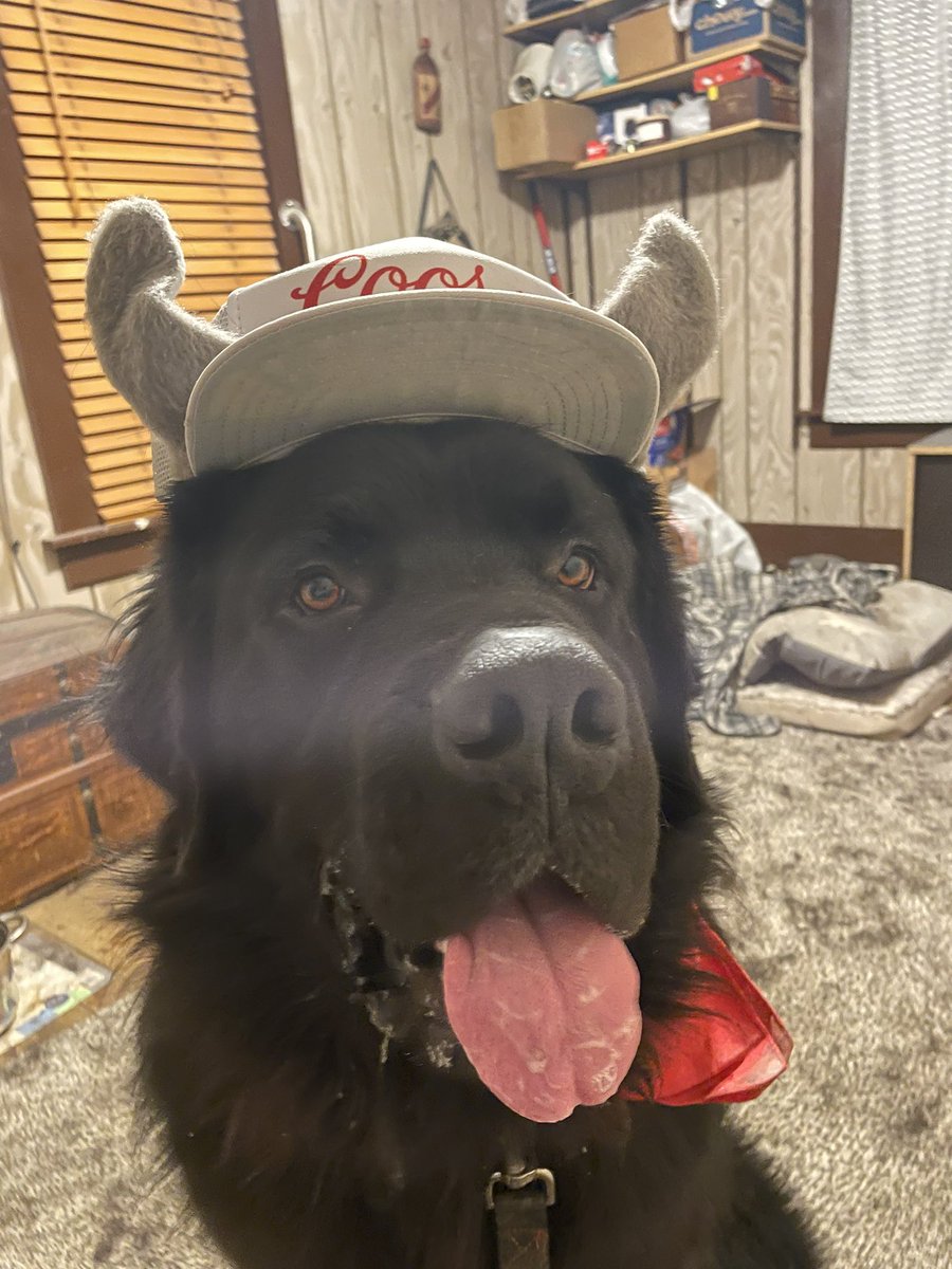 jjoness23's tweet photo. Cole is ready for the weekend! @CoorsLight #beerwolf https://t.co/v3f45OhSPf