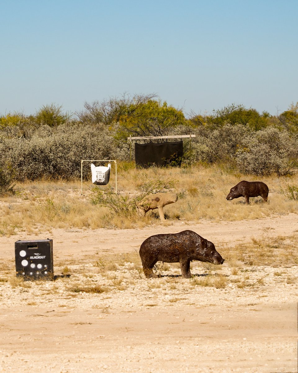 DeerGearTV's tweet photo. How many different targets do you have setup on your bow range?
#bowhunting #archery #bowrange #hunting https://t.co/Rtxr7VWycn