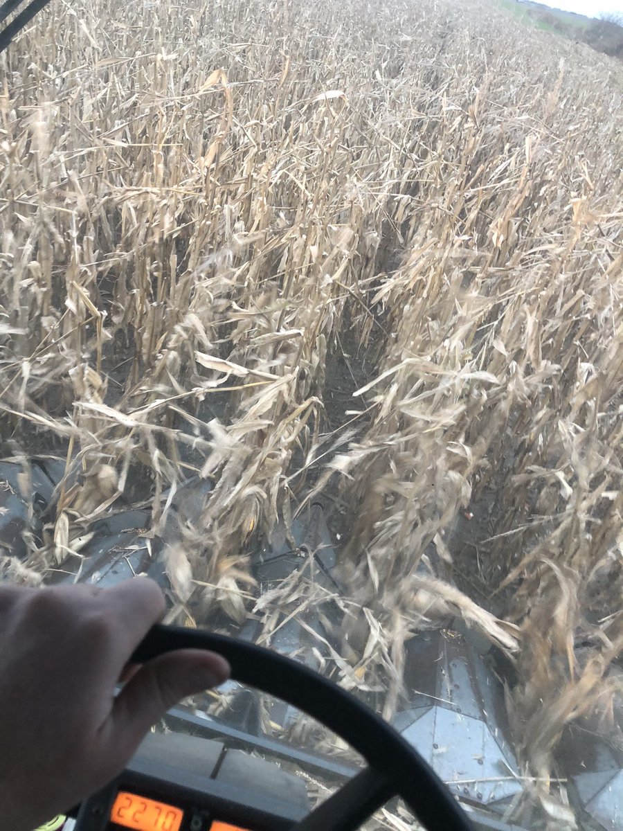 DesjardinDM's tweet photo. No better feeling then wrapping up harvest #harvest21 #OntAg #prideseeds #gleaner #notill https://t.co/5FboewxyON