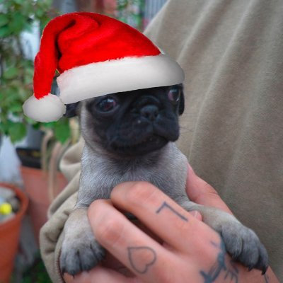 Dolanidkxd's tweet photo. @Derker_Bluer  Watonsito de otro universo navideño 🎄✨ https://t.co/YBRBxe5n8u