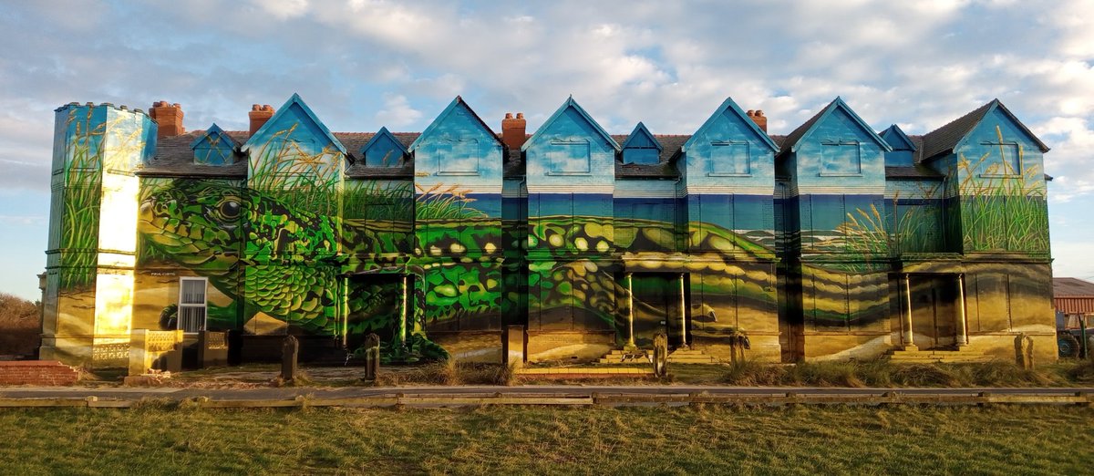 The fantastic sand lizard mural at Toad Hall, Ainsdale by @paulcurtisart