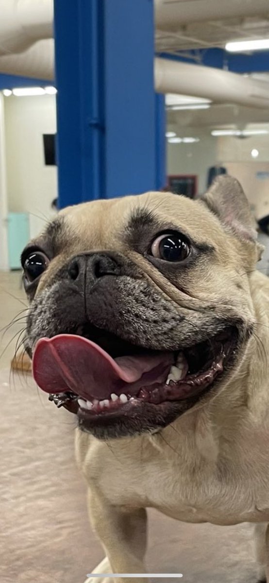 Joey Mueller tweet media