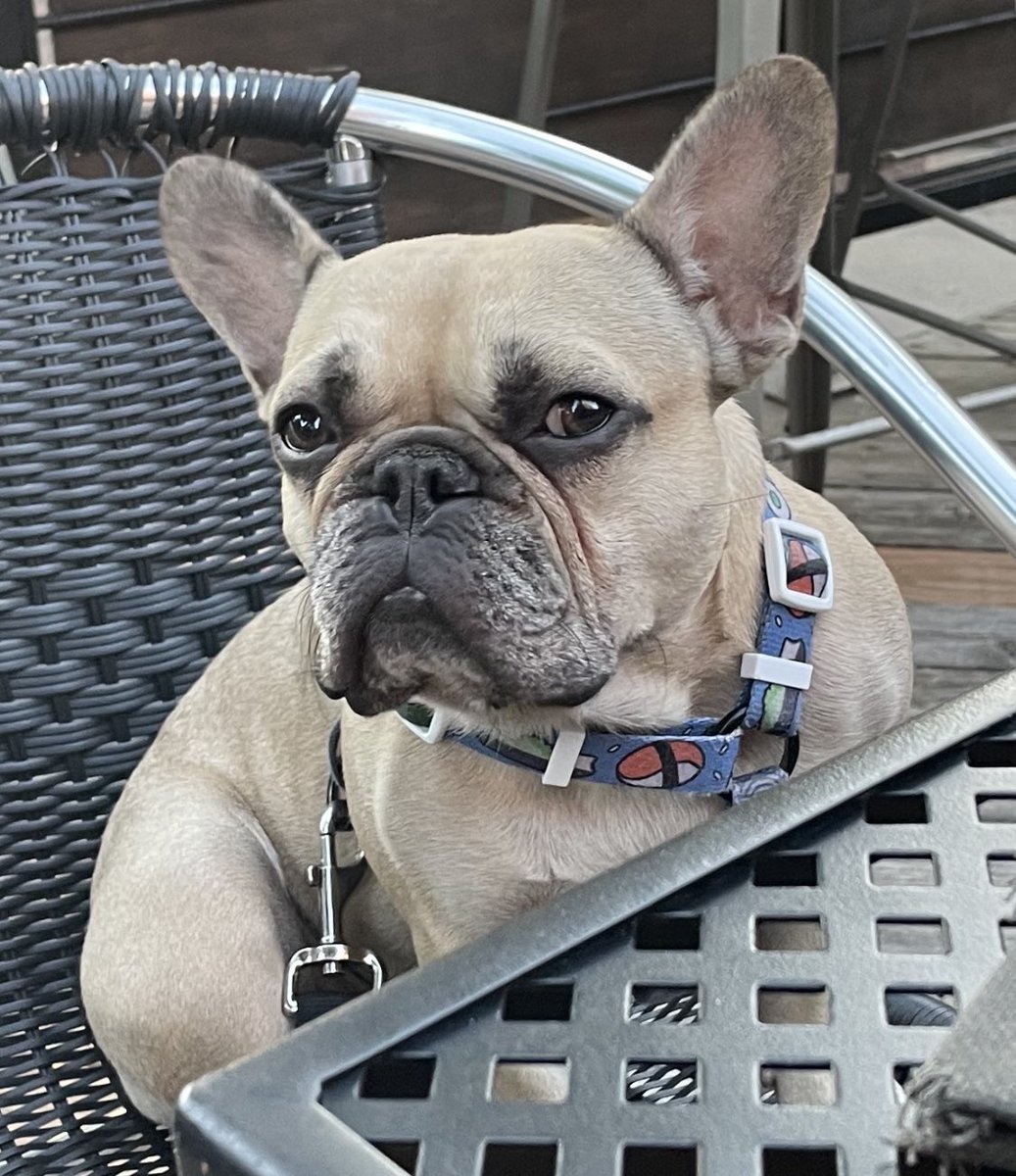 Joey Mueller tweet media