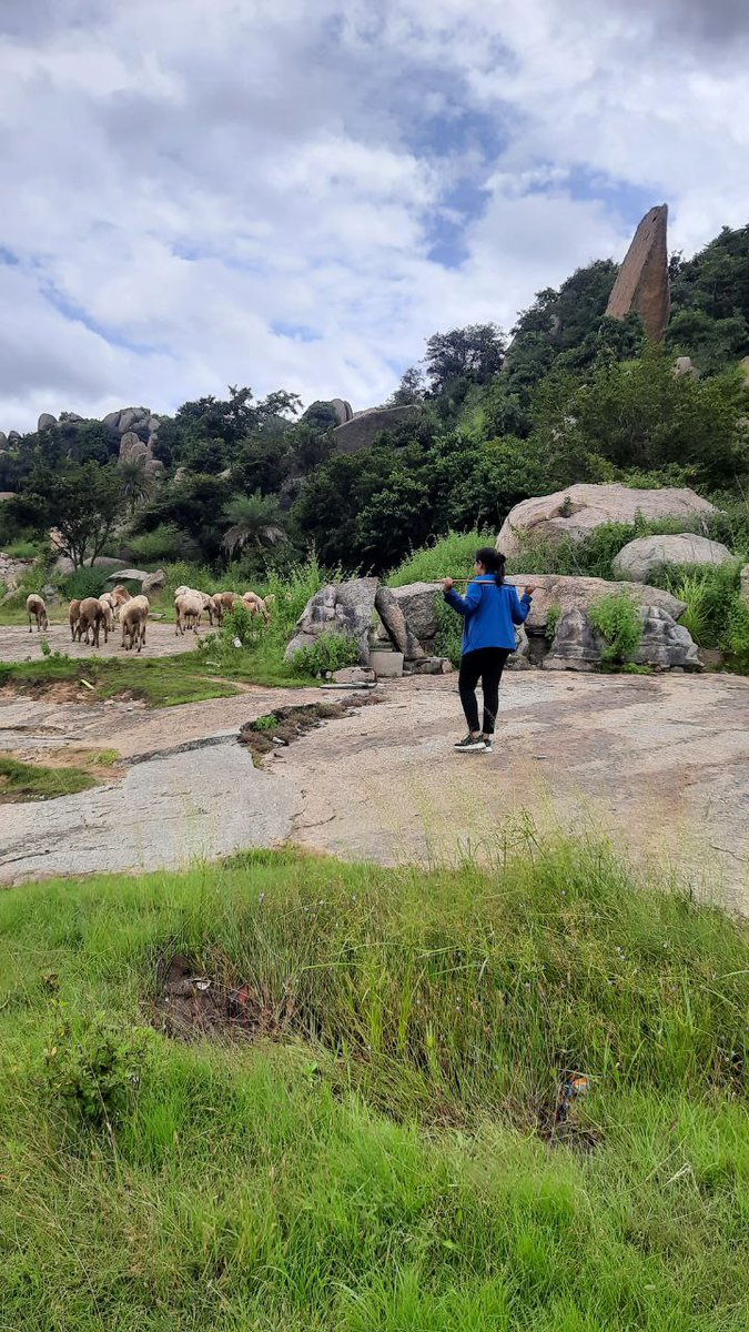 Shivani9698's tweet photo. Enjoying every present moment..🤗 and love to try new things..😁
.
Tried being a shepherdess for 5mins.. which didn't go well "obviously.!!"...😉
#selflove #tryingnewthing #enjoyingthemoment #naturelovers #nature https://t.co/pW7THnOxNB