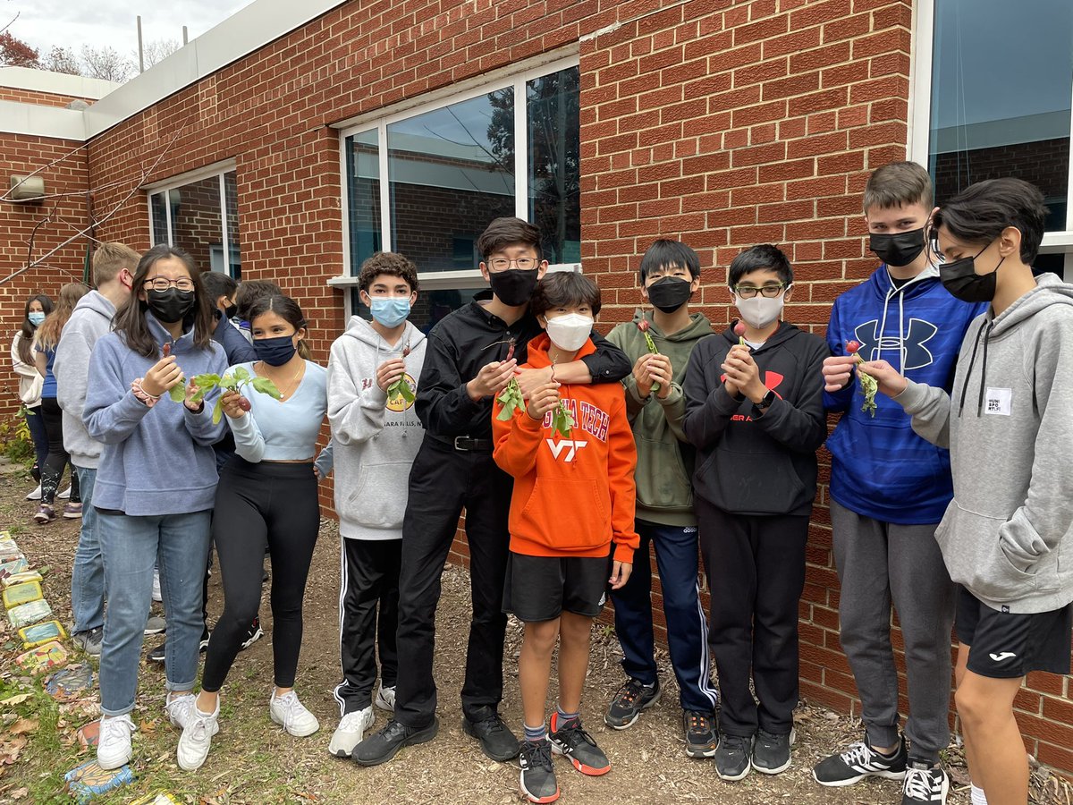 AlamFalam's tweet photo. Students harvesting radish as part of their Science 8 EDD lab @kjms_fcps @FairfaxSchools @CityofFairfaxVA @drphyllpajardo @fcpsGet2Green @NBPTS @FCPSScience https://t.co/AsDSgl1eDP
