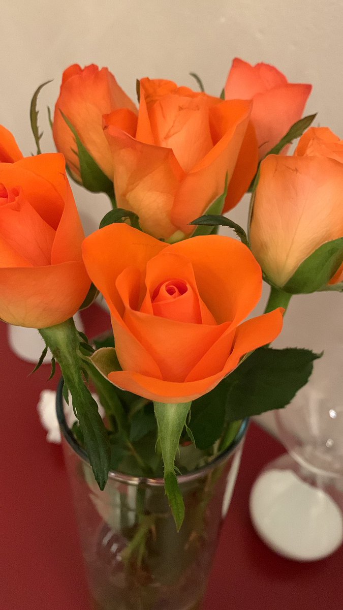 catiperciu's tweet photo. Ci sono delle strane sere in cui i fiori hanno un’anima.
#DilloConUnFiore https://t.co/DgYkfuPPT3
