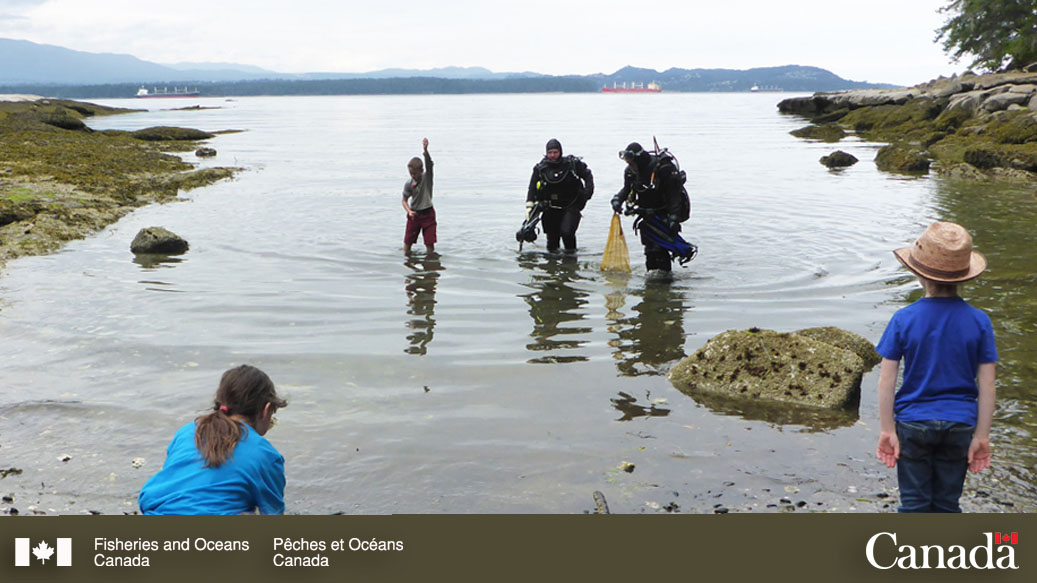 DFO_Pacific's tweet photo. Team work makes the dream work! #OurScientists partner with local organizations, First Nations, and stakeholders to ensure that our #DFOScience research is relevant, informative, and accessible.
https://t.co/O0Rexh1rtE https://t.co/7reBg7rZIP