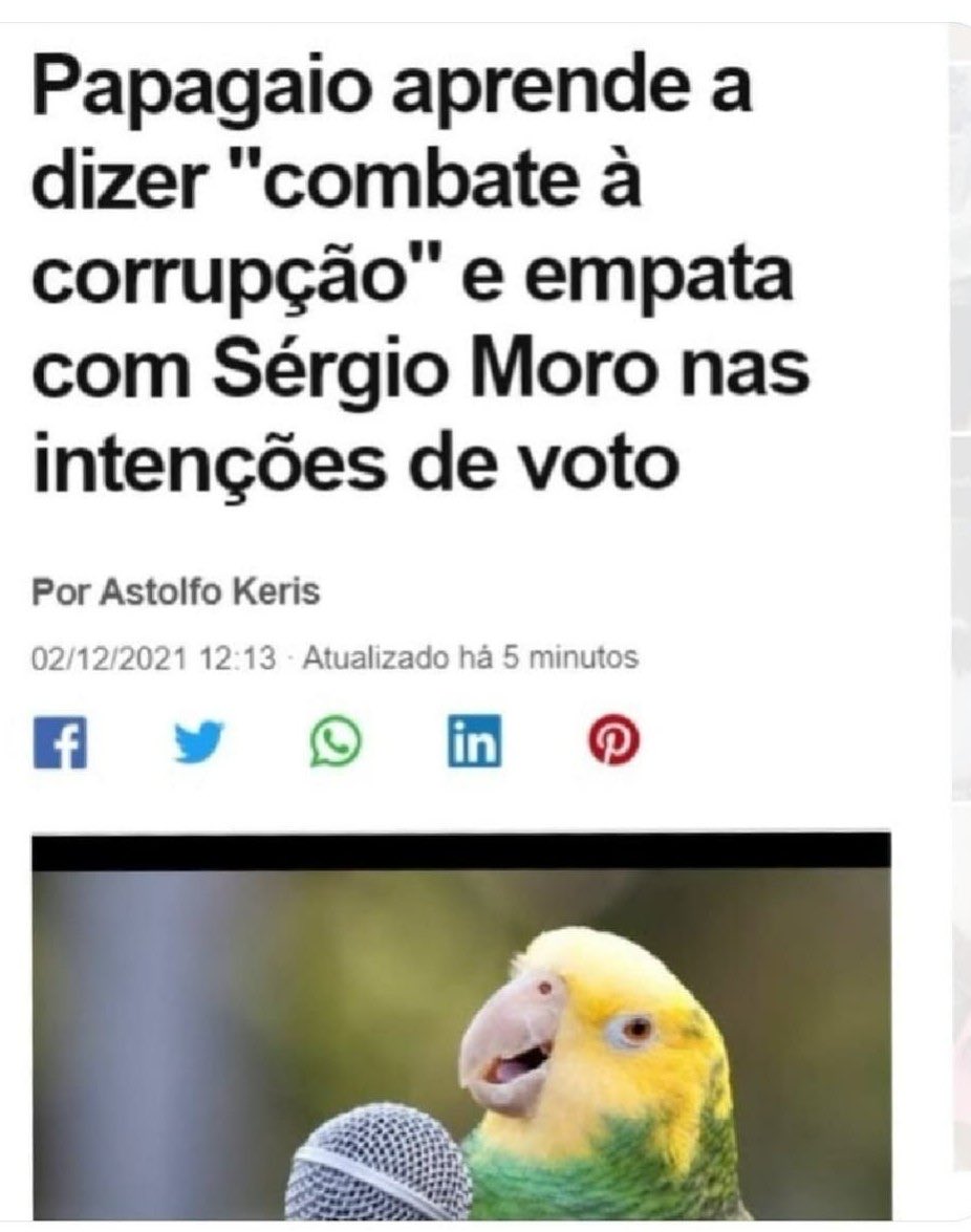 GadoDecider's tweet photo. Melhor o papagaio que o marreco. 🐮 https://t.co/r9o1vis2ft