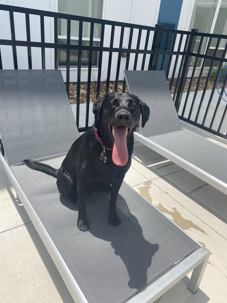 CaptnAmazing_'s tweet photo. @CashApp This my little cutie @CashApp #CashAppInWild $lakestewart https://t.co/7c4pgG1F66