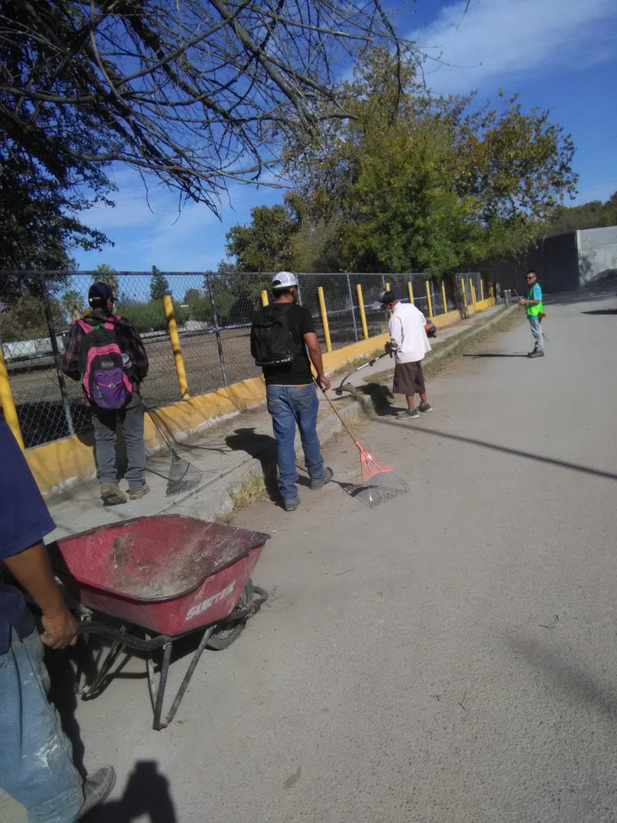 Dirección de Servicios Primarios y Ecología:

Limpieza en Escuela México