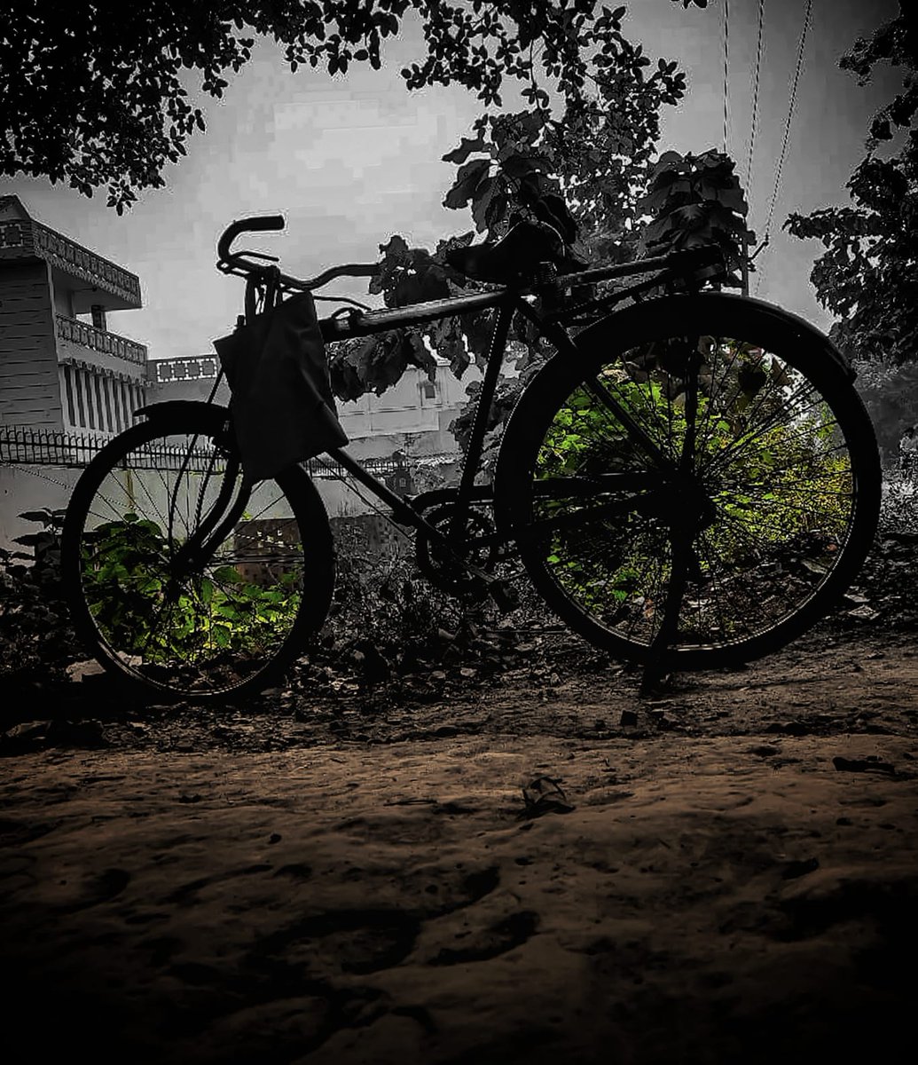 Shivamraj7521's tweet photo. Sometimes is never be change and never be erase...........

@kunalmalhotra26 #youeditmyphoto2021 #tpbchallenge #NetGeoYourLens #picture #photo #photography #indianphotographyhub #indiaclicks #yesindia #worldphotographyhub #indiapictures #photographers_of_india https://t.co/Wzy6Nl8Ne4