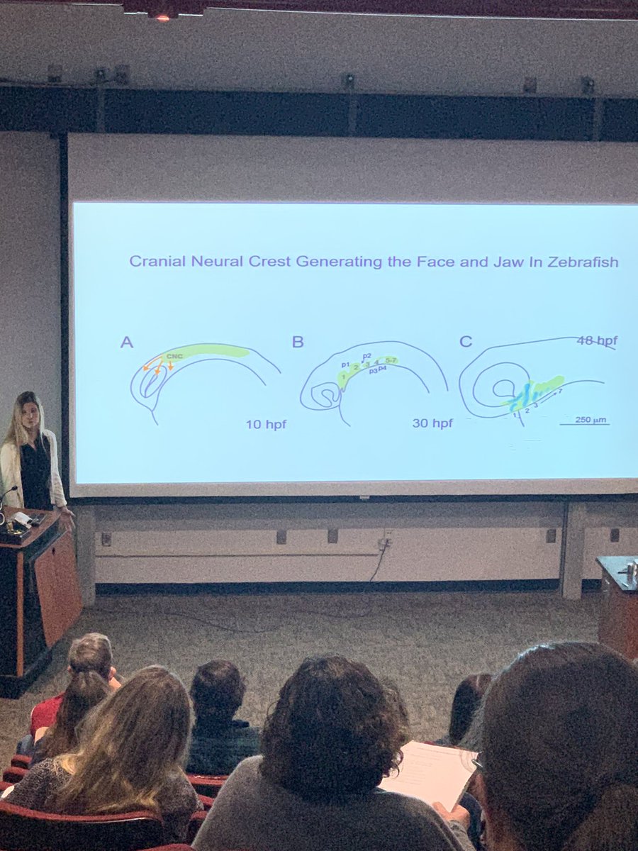 USCAiken_STEM's tweet photo. Senior Capstone research presentations by our AWESOME @USCAiken #biology and #geology students‼️What a great way to kick off the holidays and celebrate the end of the fall semester‼️#undergradresearch #highimpactpractice #professionalexperience @SCINBRE @CURinAction https://t.co/sx8AXUyzNX