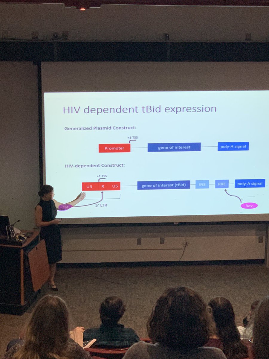 USCAiken_STEM's tweet photo. Senior Capstone research presentations by our AWESOME @USCAiken #biology and #geology students‼️What a great way to kick off the holidays and celebrate the end of the fall semester‼️#undergradresearch #highimpactpractice #professionalexperience @SCINBRE @CURinAction https://t.co/sx8AXUyzNX