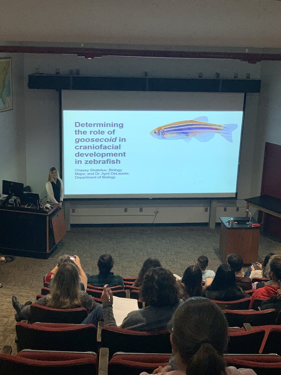 USCAiken_STEM's tweet photo. Senior Capstone research presentations by our AWESOME @USCAiken #biology and #geology students‼️What a great way to kick off the holidays and celebrate the end of the fall semester‼️#undergradresearch #highimpactpractice #professionalexperience @SCINBRE @CURinAction https://t.co/sx8AXUyzNX